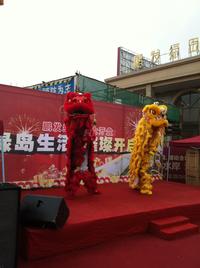 鹏发绿岛活动图开盘活动