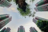 入帘青雅苑1期实景图项目实景图