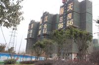 蓝润锦江春天实景图工程进度