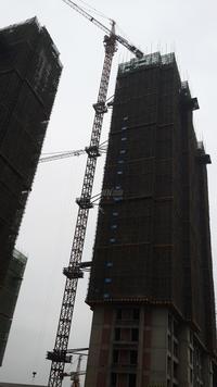 御园实景图工程进度