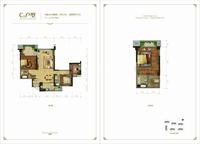 四海逸家3期户型图C2.jpg