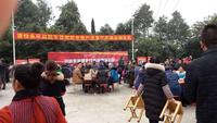 康怡城邦活动图活动图