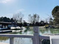 绿城川菜蜀香广场1期样板间图样板间图