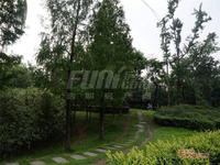 栖湖铭座公寓实景图公园