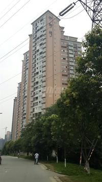 沙河湾实景图6-27