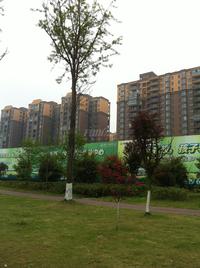 学府杏林二期实景图实景图