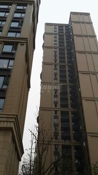 绿地锦天府实景图工程进度