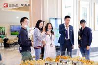 望青来青麓阁1期活动图活动图
