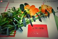 金地悦澜道1期活动图金地让城市优雅生长