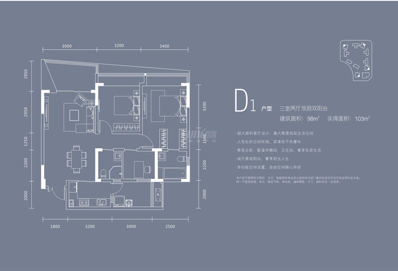 中环丰锦d1户型图,3室2厅2卫98.00平米 成都透明房产网