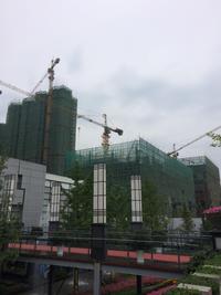 蓝润锦江春天2期实景图6.12