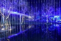 天悦世家1期活动图示范区亮相活动