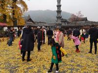 山外山悦城小区（一期）配套图银杏广场