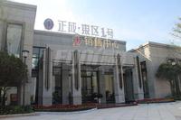 正成东区1号实景图工程进度