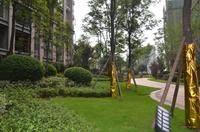 北城映像实景图一期小区实景图