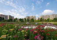 蜀镇（东韵花园）实景图实景图