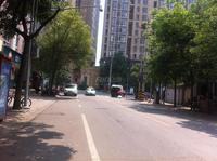 东府九座实景图实景图
