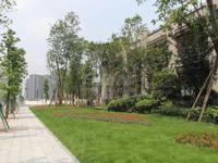 锦城南府实景图实景