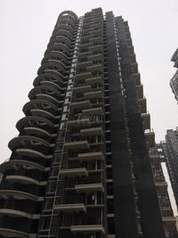 红树湾2期实景图工程进度