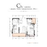 C3