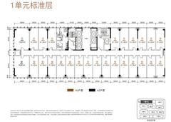 东悦里1期7824.84平户型