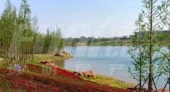 隆鑫首府1期实景图