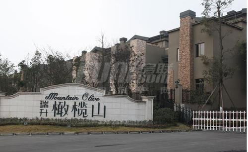 瑞升橄榄山效果图