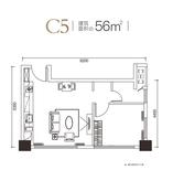 C5