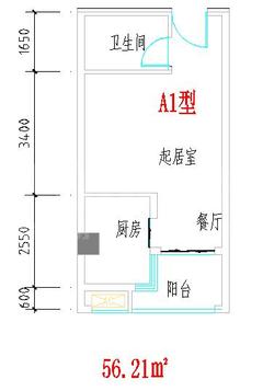 营盛大厦1期1室1厅1卫56.21平户型