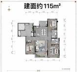 115户型
