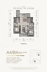 A4/B4