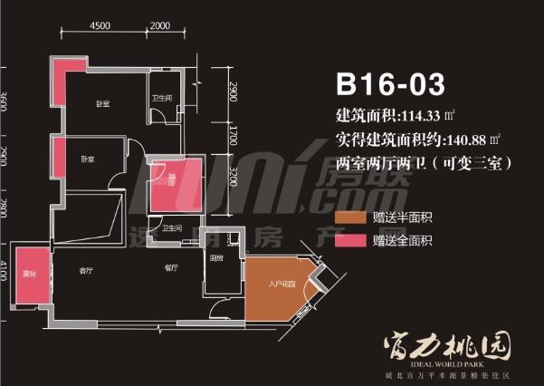 B16-3