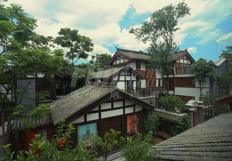 实景图