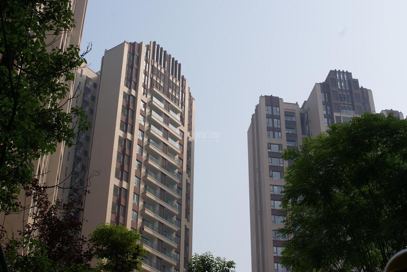 效果