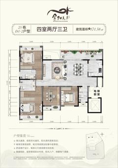 金阳美景三期1室171.58平户型