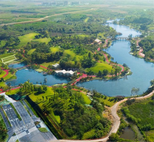 杨溪湖湿地公园