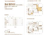 B4/B5户型