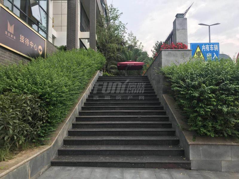 实景图