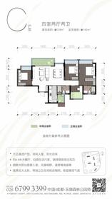 C  户型