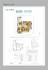 D19