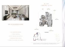 时代之城二期（华润置地时代天玺小区）3室2厅2卫120.00平户型