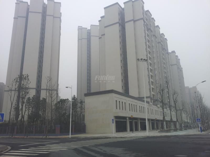 实景图