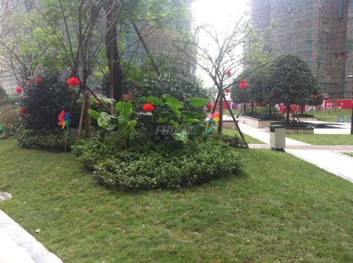 格林城市花园实景图