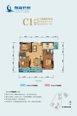 C1