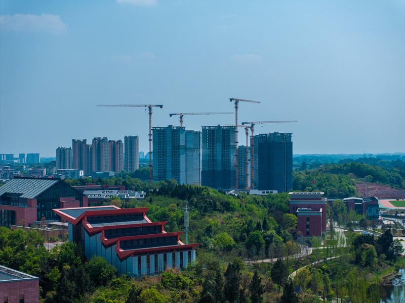 实景图