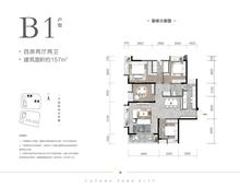 天府名邸1期（天府未来城一期）4室2厅2卫157.00平户型
