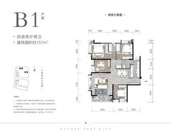 天府名邸1期（天府未来城一期）4室2厅2卫157.00平户型