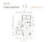 C1