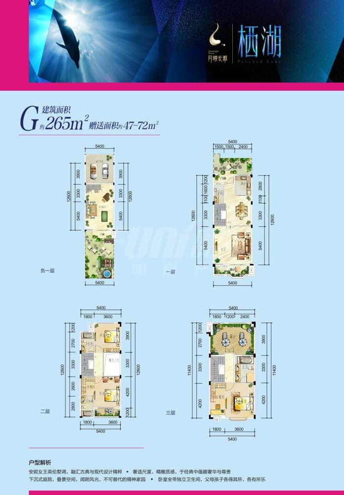 联排G户型图