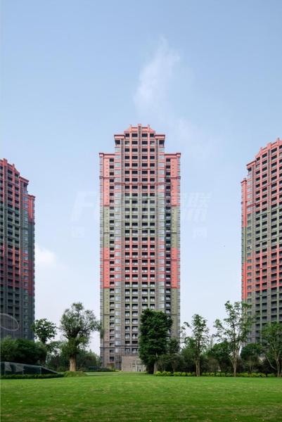 项目实景图